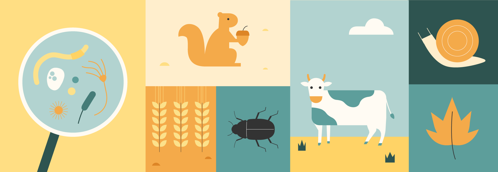 La ilustración con los elementos integrados en el concepto de la agricultura regenerativa