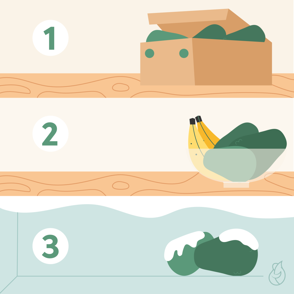 Ilustración de las etapas de conservación de la fruta