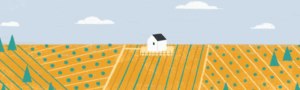 Illustration of an organic certificate