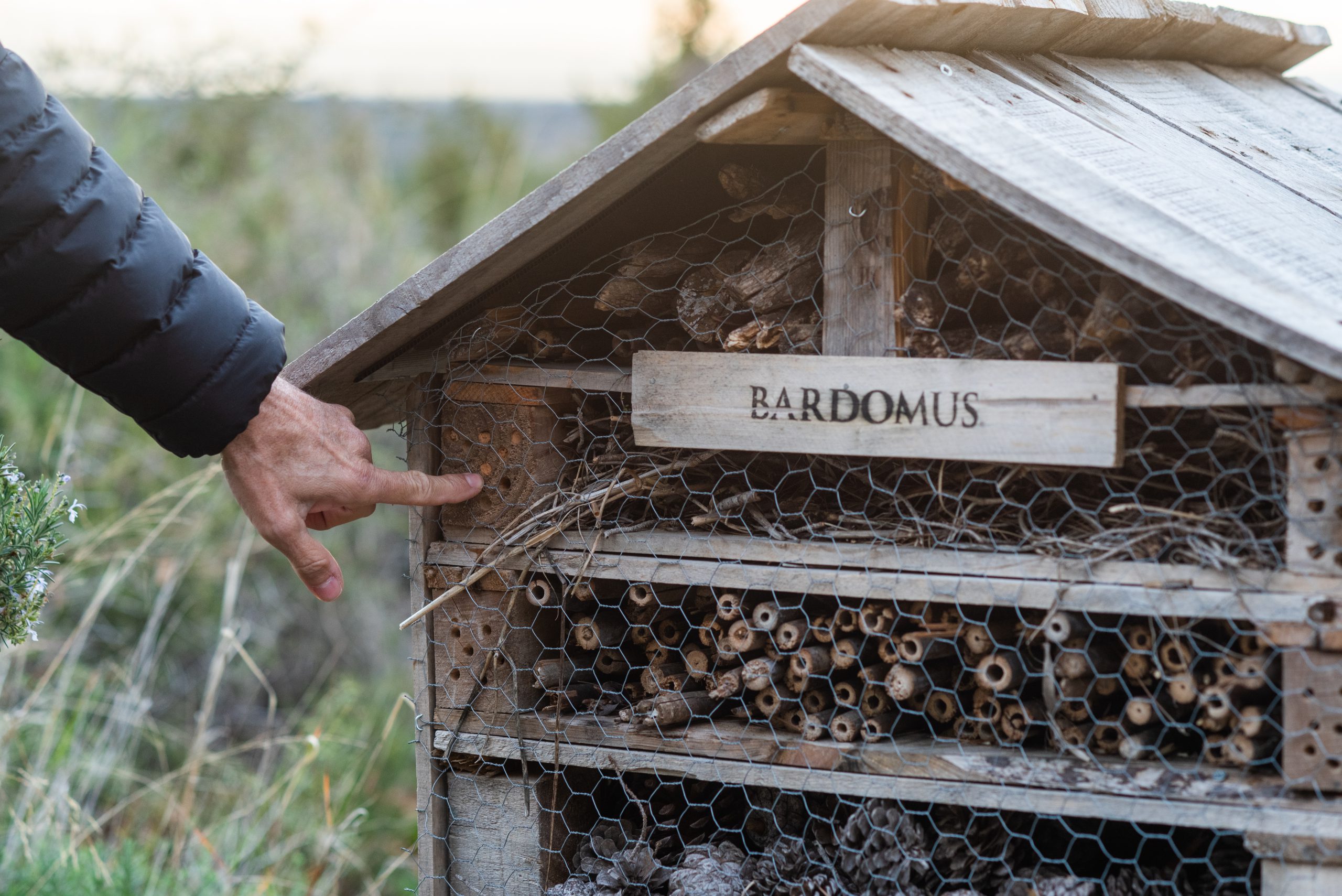 An insect hotel on the Bardomus olive farm