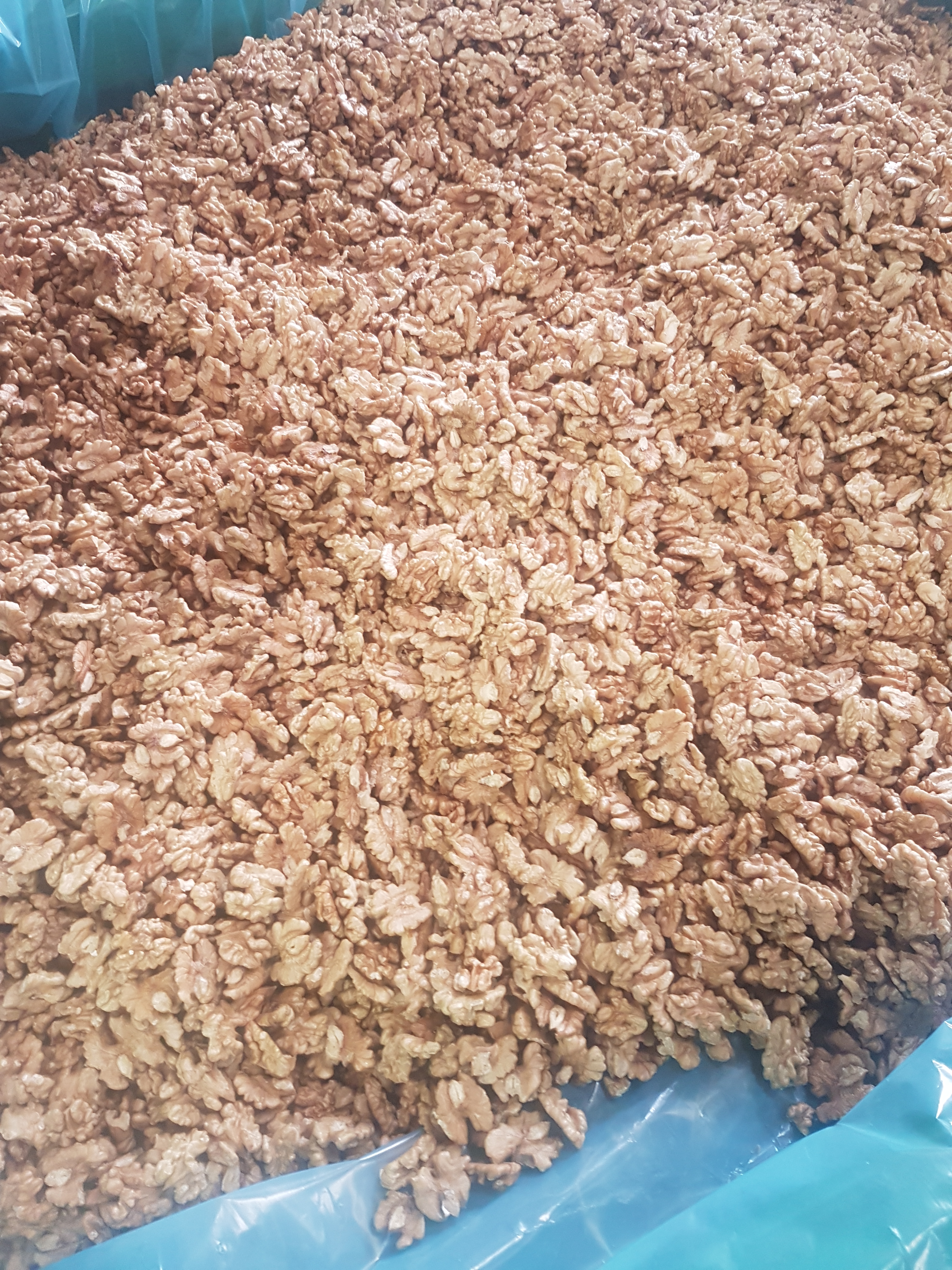 Shelled walnuts