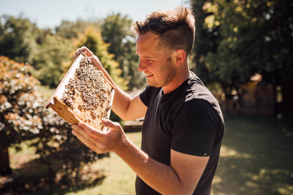 A farmer with a bee brood in his hands