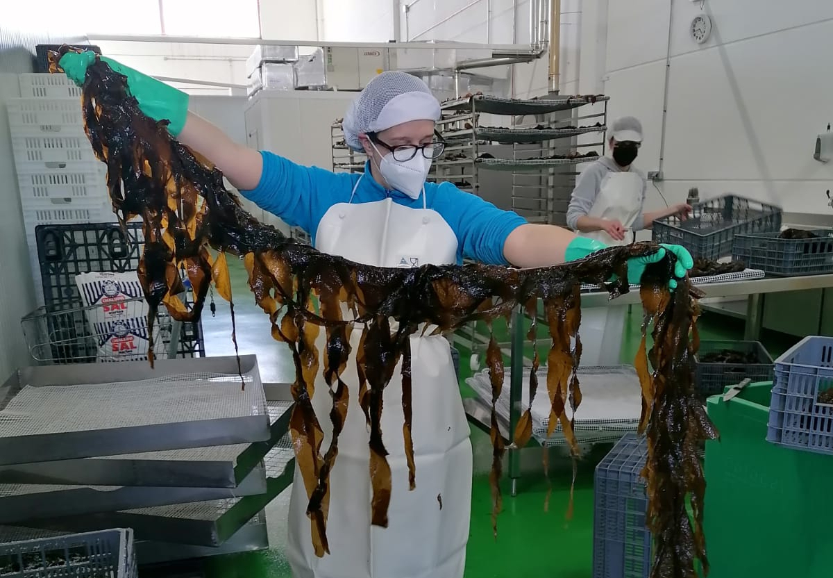 A person in a building holding a wakame leaf