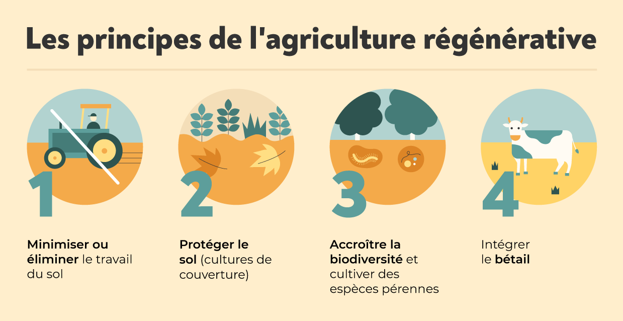 Découvrir l’agriculture régénératrice... (I)  CrowdFarming Blog