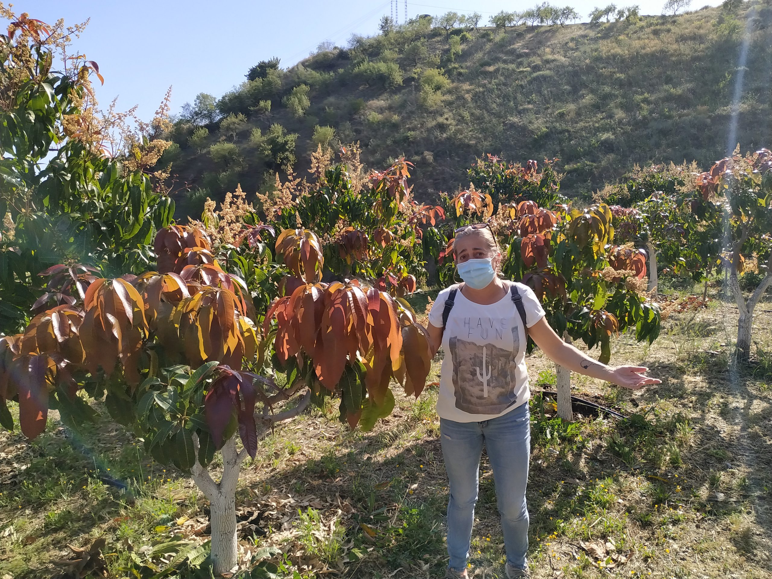 L'agricultrice Maria Luísa entourée de manguiers brûlés par le soleil