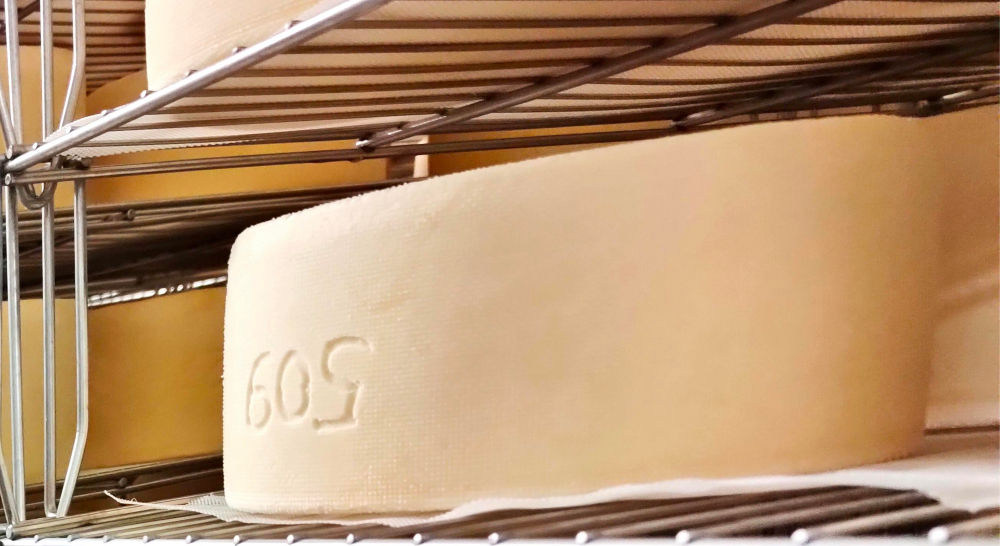 Schafskäse auf einem Regal