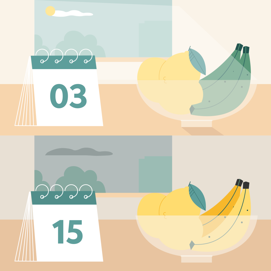 Grafik eines Glasgefäßes mit Zitronen, Bananen und einem Kalender