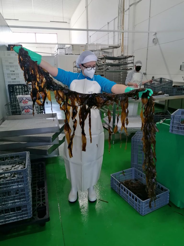 Eine Person in einem Gebäude, die ein Blatt Wakame hält