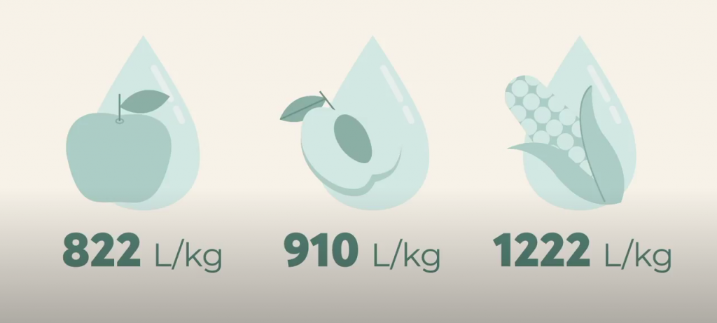Grafik eines Apfels, einer Aprikose und eines Maiskolbens mit einem Wassertropfen